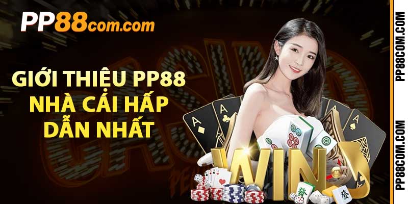 Giới thiệu PP88 – Nhà cái hấp dẫn nhất